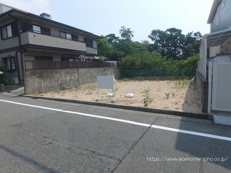 南西側より