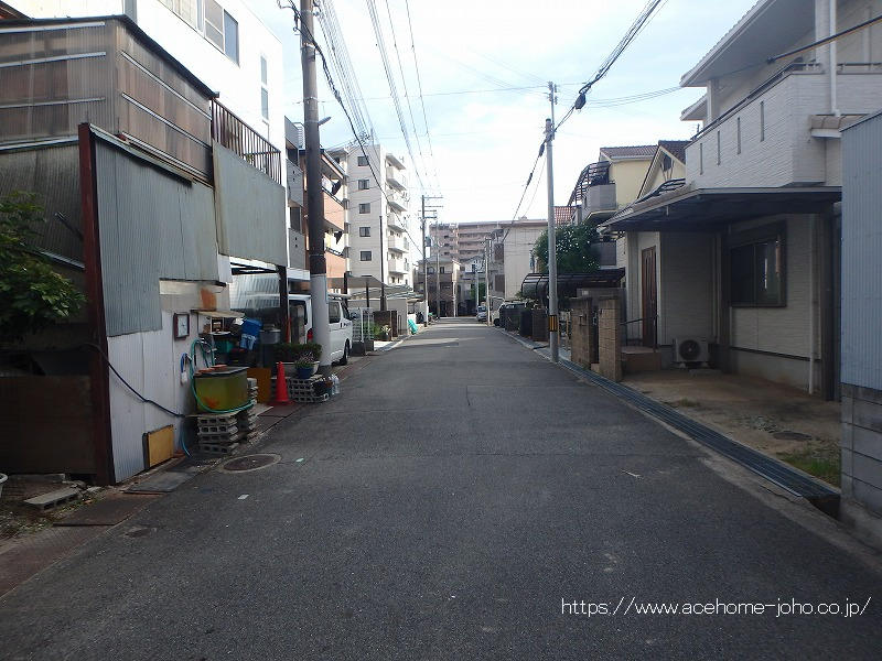西側公道から南へ望む