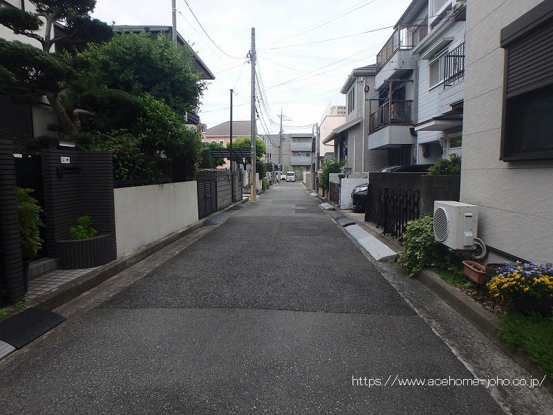 西側公道から南へ望む