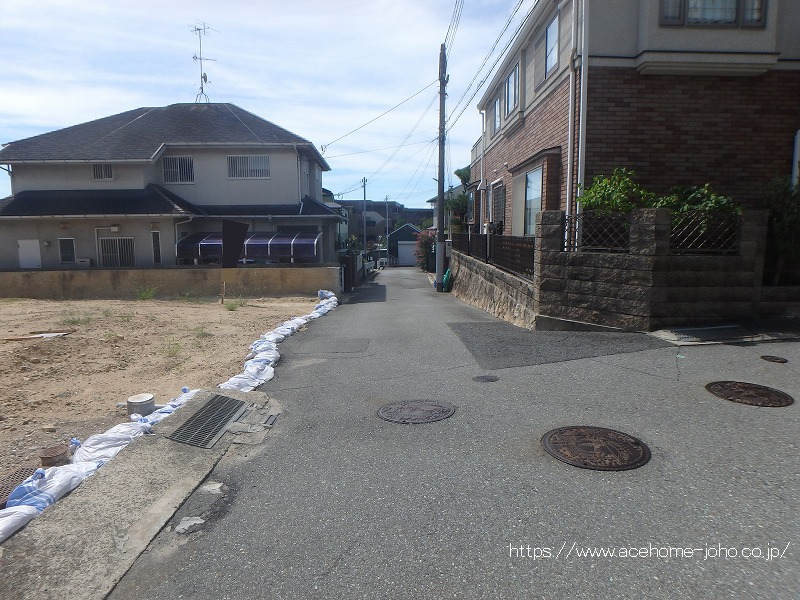 西側公道から南へ望む