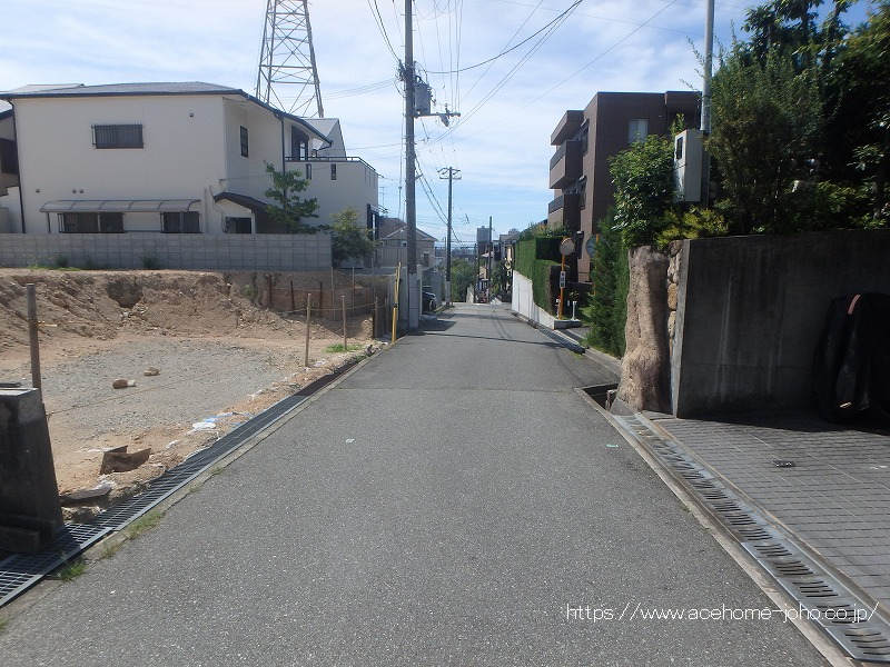 西側公道から南へ望む