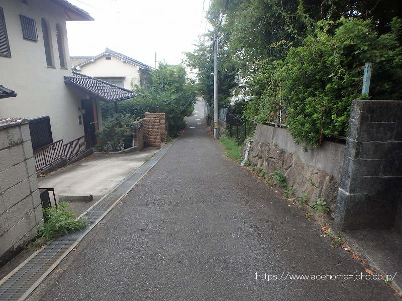 西側公道から南へ望む