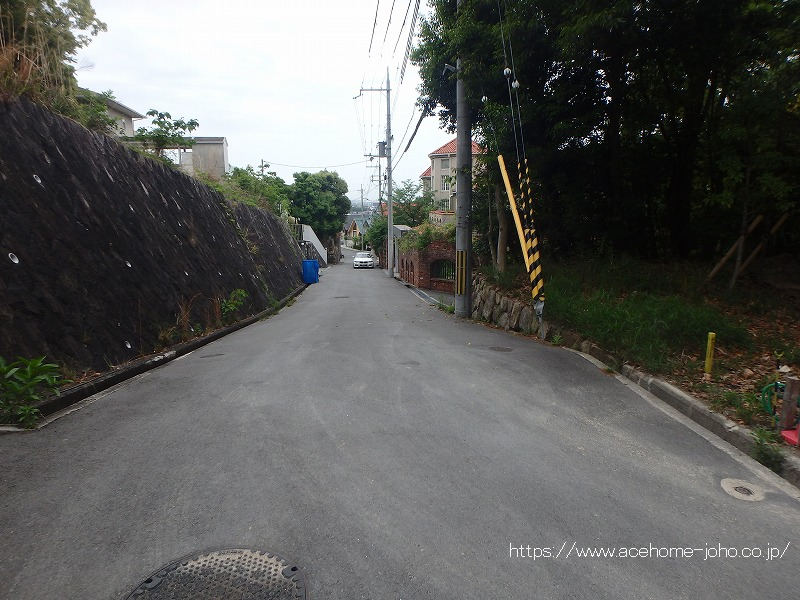 西側公道から南へ望む