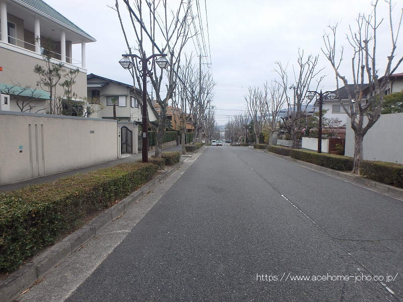 北側公道から西へ望む