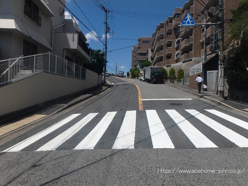 北側公道から西へ望む