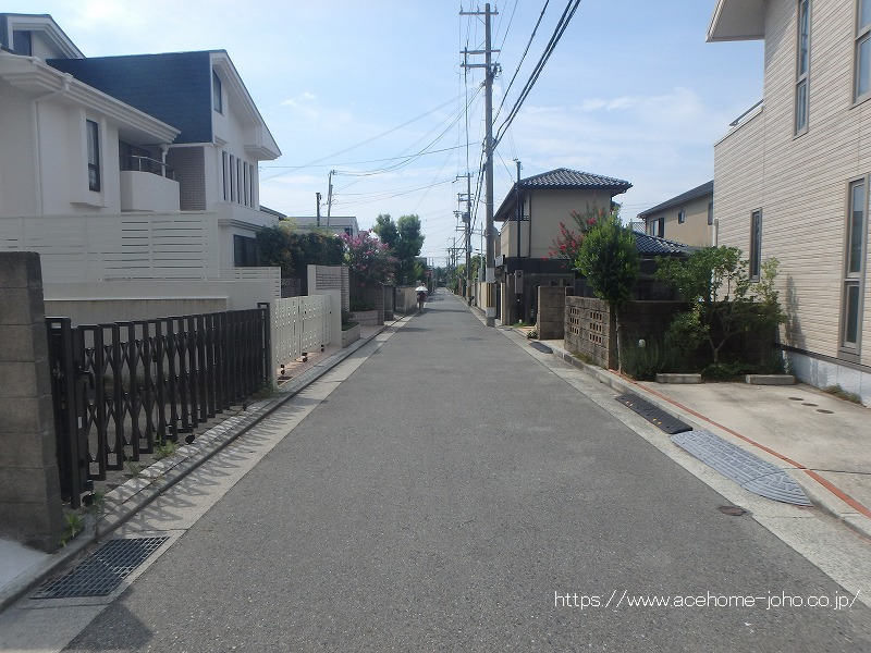 西側公道から南へ望む