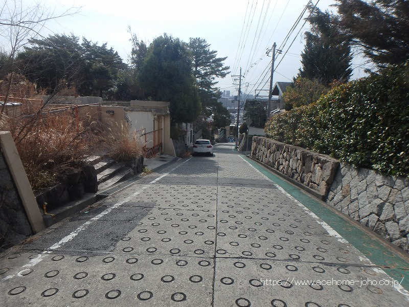 西側公道から南へ望む