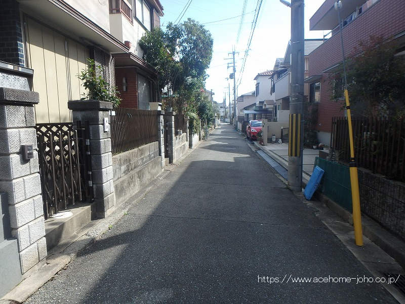 西側公道から南へ望む