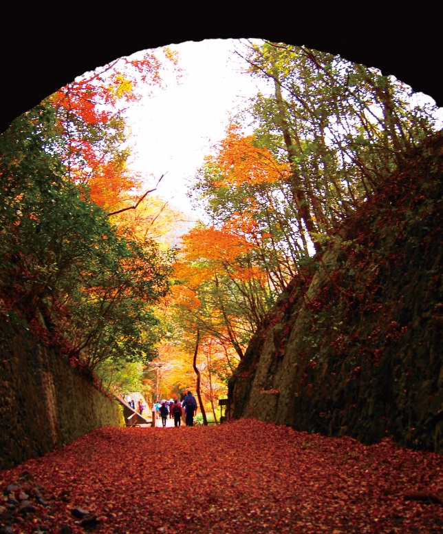 トンネル