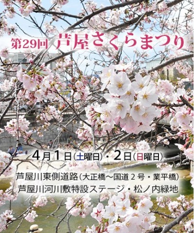 芦屋さくらまつり 夙川さくら祭 平成２９年 ２０１７年 ４月１日 土 ２日 日 開催 エースホームブログ