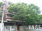 西宮市マンション 苦楽園ガーデンズ